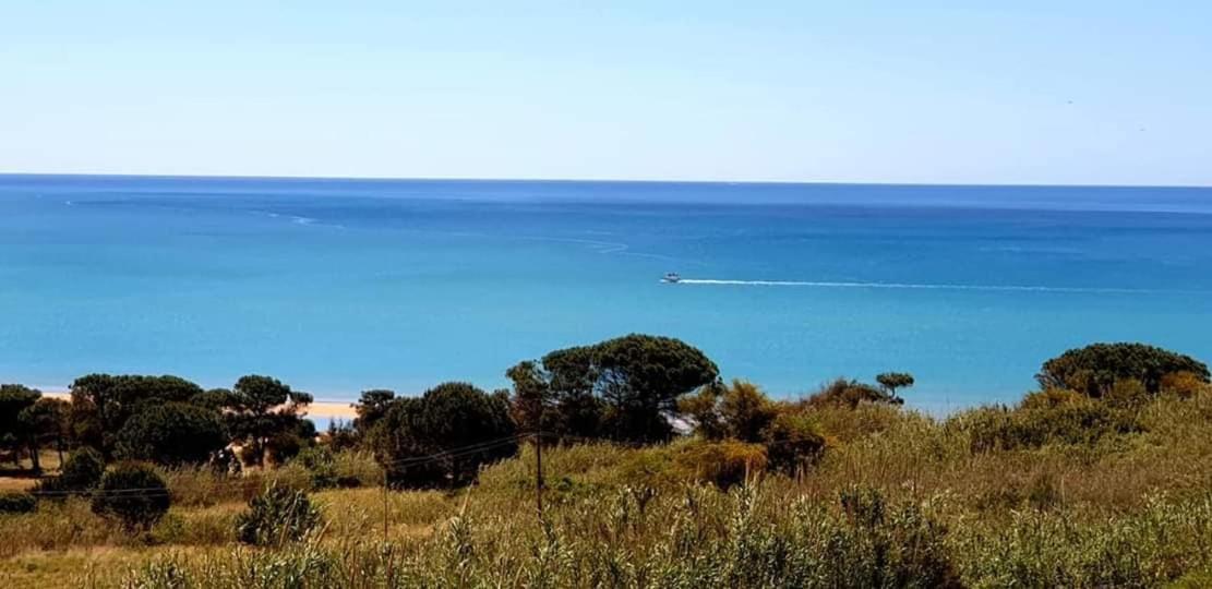 Il Canneto Di Selinunte マリネッラ エクステリア 写真