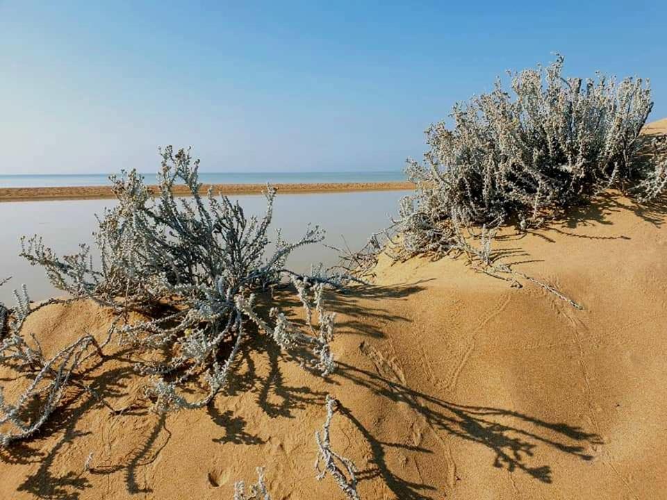 Il Canneto Di Selinunte マリネッラ エクステリア 写真